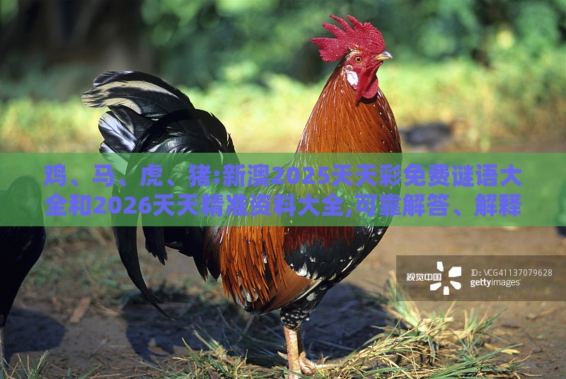 鸡、马、虎、猪:新澳2025天天彩免费谜语大全和2026天天精准资料大全,可靠解答、解释与落实-警惕迷惑性推广