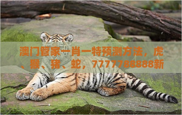 澳门管家一肖一特预测方法，虎、猴、猪、蛇，7777788888新奥开奖科技释义、专家解析解释与落实​-小心欺诈的甜蜜饵