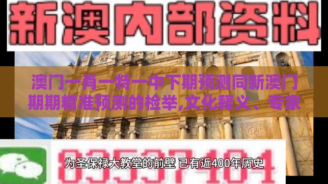 澳门一肖一特一中下期预测同新澳门期期精准预测的检举,文化释义、专家解析解释与落实-提防二手平台欺诈